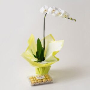 Orquídea Phalaenopsis para Presente e Chocolate